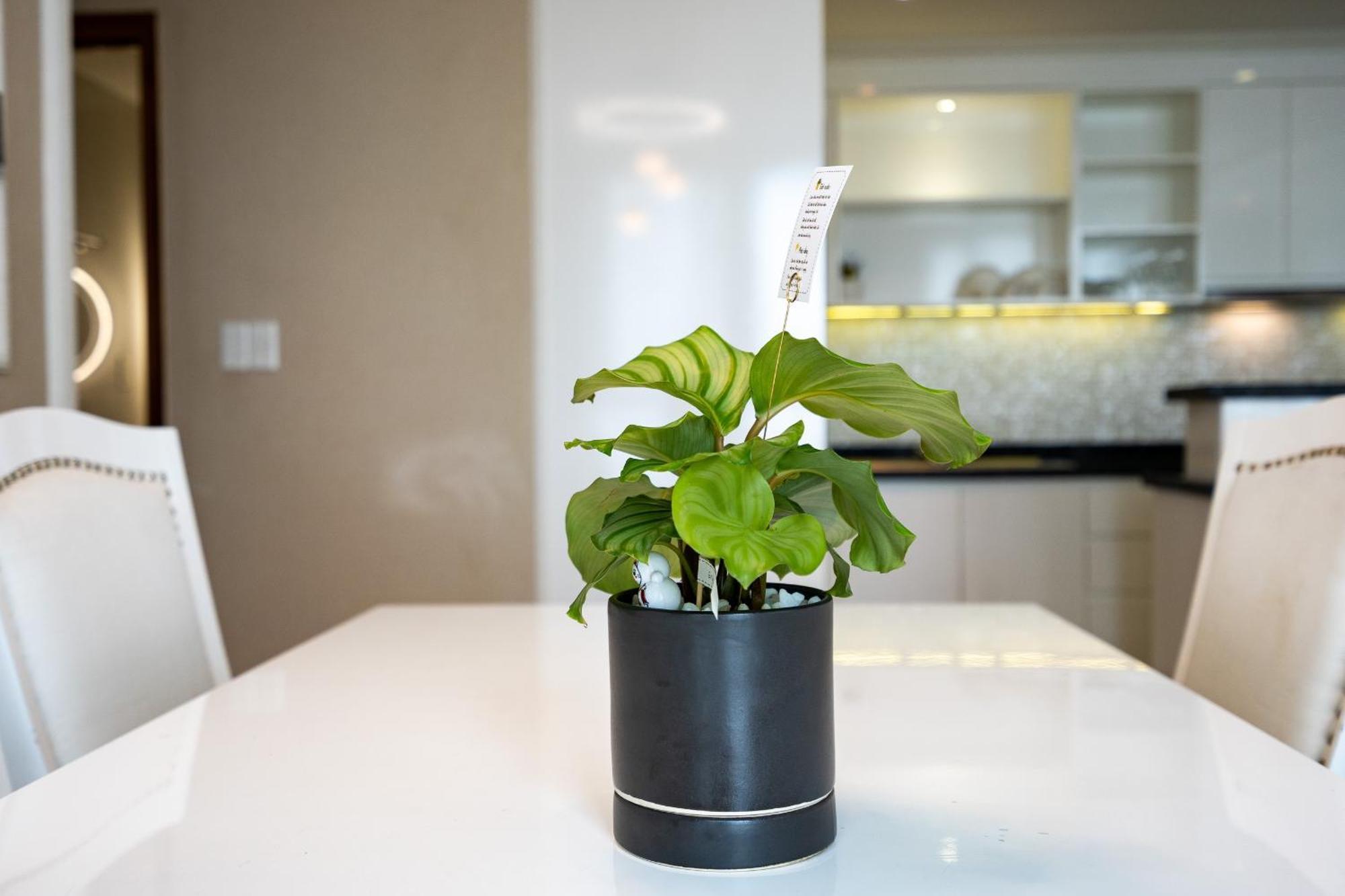 Leman Luxury Apartment By M Suites Cidade de Ho Chi Minh Exterior foto